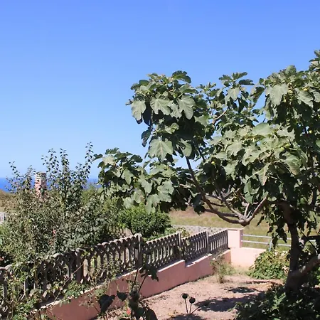La Casetta Del Mirto Paduledda Isola Rossa Exterior photo