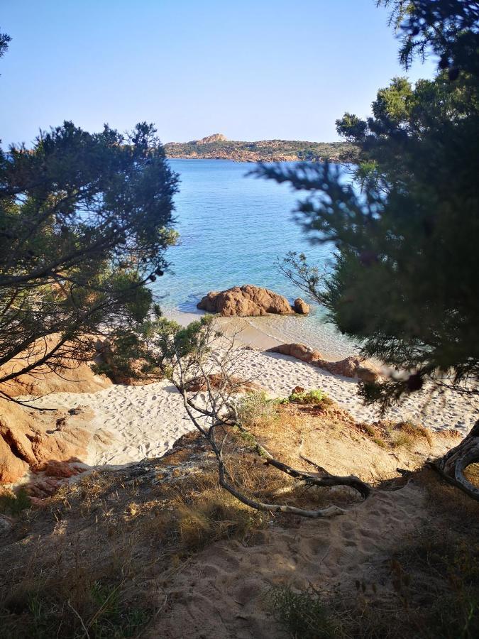 La Casetta Del Mirto Paduledda Holiday home Isola Rossa (Sassari)