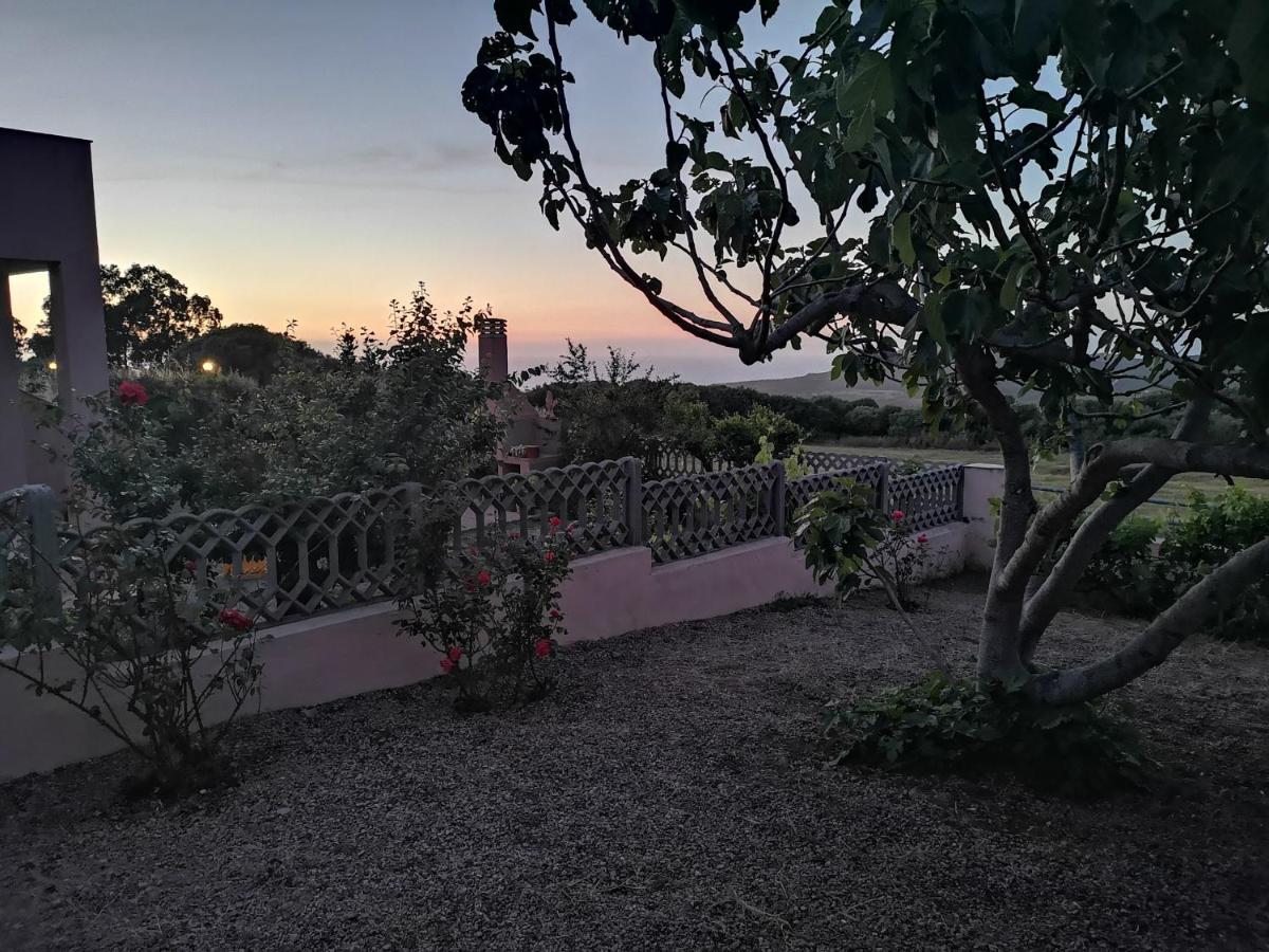 Holiday home La Casetta Del Mirto Paduledda Isola Rossa (Sassari)
