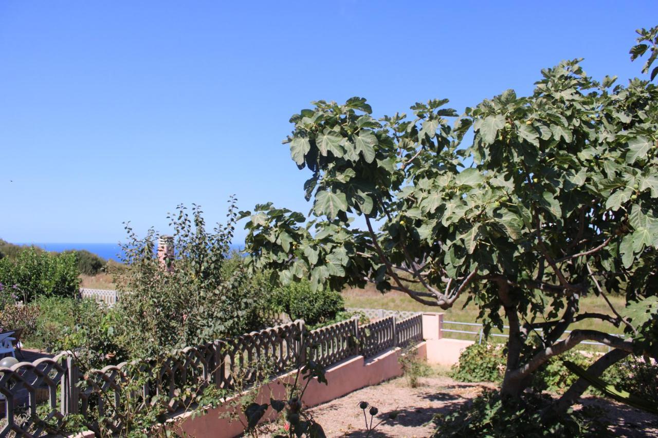 Holiday home La Casetta Del Mirto Paduledda *